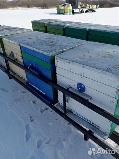 Ульи для пчел бу дадан