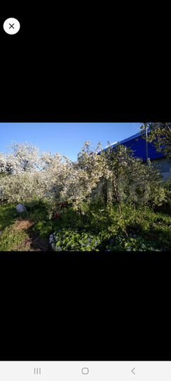 Участок 6 сот. (СНТ, ДНП)