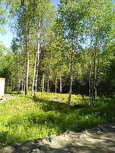 Участок 12 сот. (ИЖС)