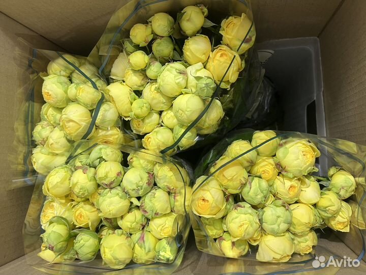 Цветы оптом в г. Елец