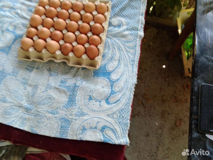 Домашние куриные яйца