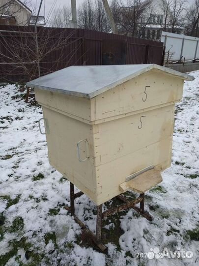 Пчелиный улей