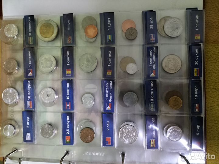 Коллекция монет и купюр