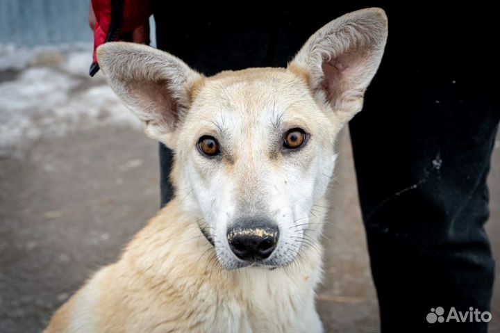 Мальчик Алтай