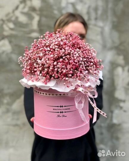 Коробочка Гипсофилы