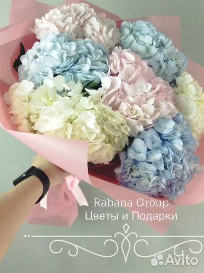 Гортензии с доставкой. Цветы Гортензии