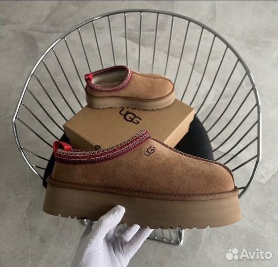 Ugg tazz