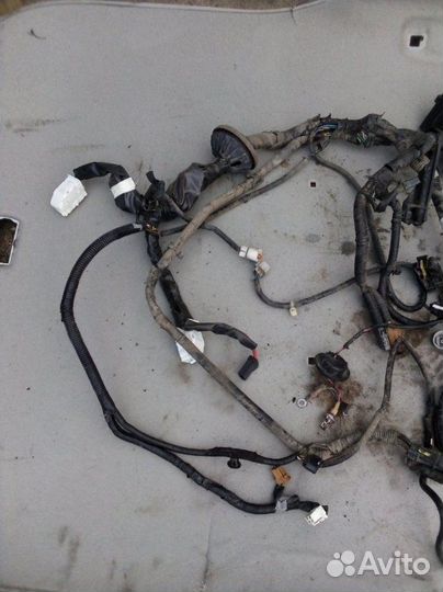 Проводка двигателя Nissan X-Trail QR25 2012