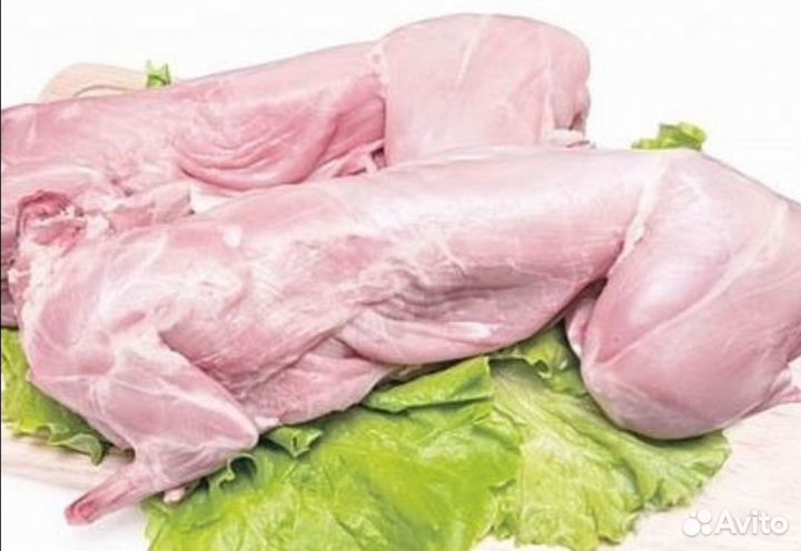 Мясо кролика