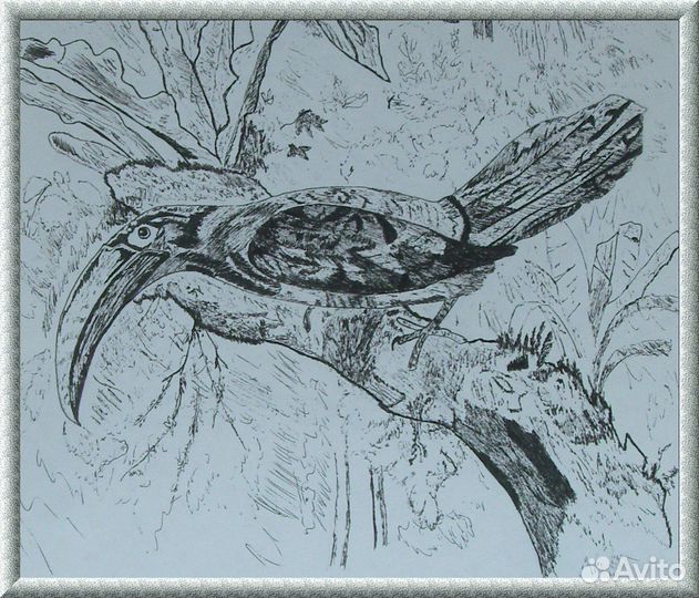 Рисунок Птица ручная работа картина картинка птицы