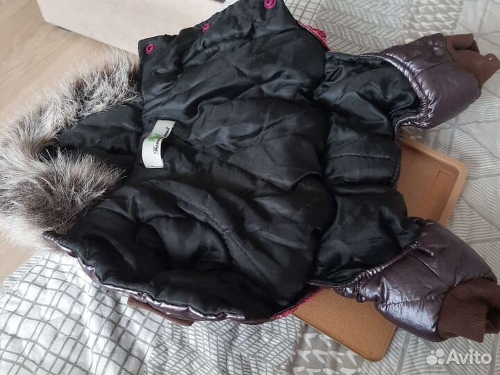 Одежда для маленьких пород собак