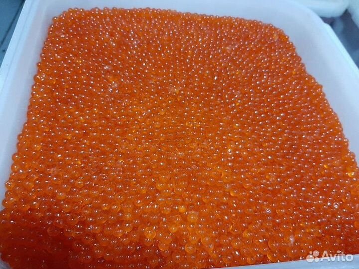 Красная икра оптом горбуши