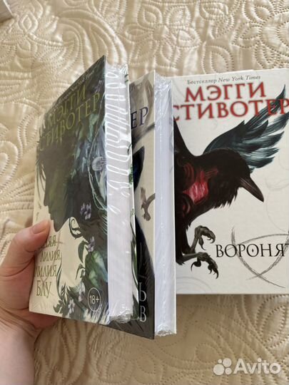 Воронята, Похитители снов Мэгги Стивотер