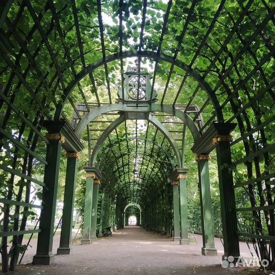 Автобусный тур 5 дней в Санкт-Петербурге