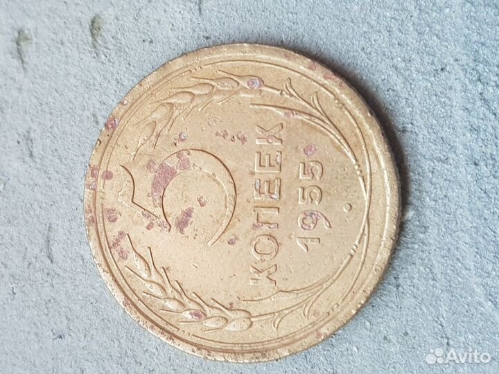 5 копеек 1955год