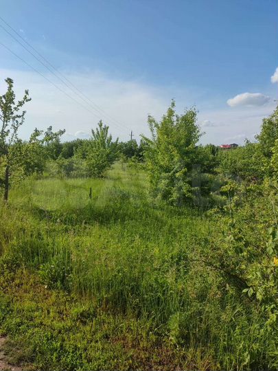 Участок 16,5 сот. (СНТ, ДНП)