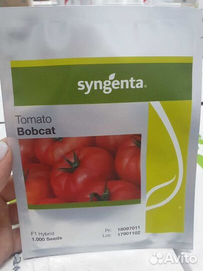 Семена томат Бобкат 1 000с Сингента