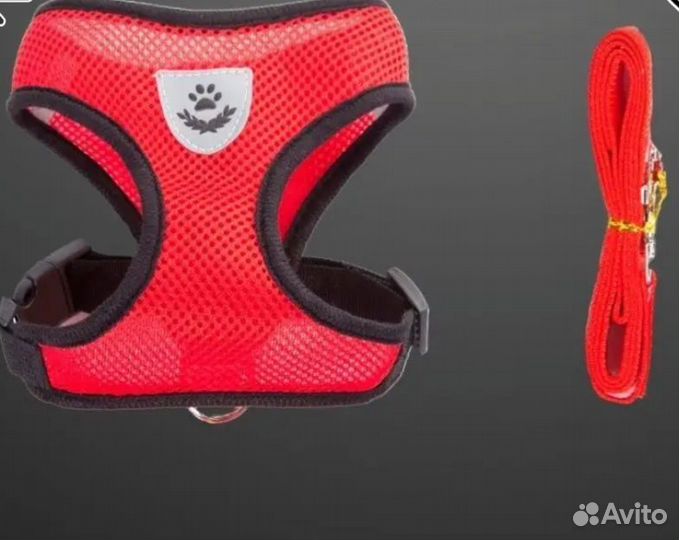 Шлейка для собак и кошек с поводком