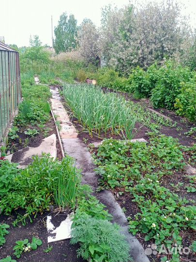 Дачу: домик 30м2, участок 6 соток