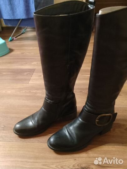 Сапоги женские