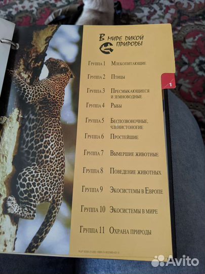 Книги, диски