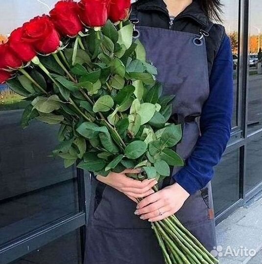 Розы гиганты 140 150 160 170 180 200