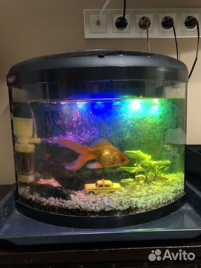 Аквариум