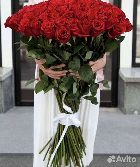 Высокие розы Гигантские розы с доставкой