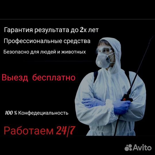 Дезинфекция дезинсекция