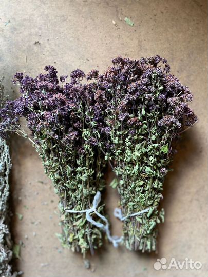 Полынь и душица