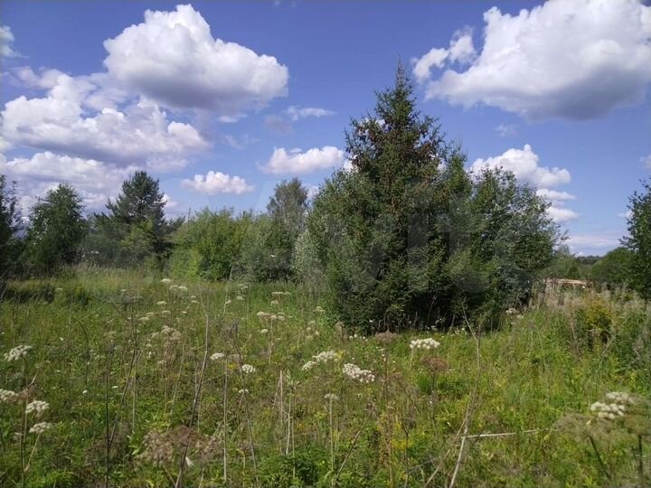 Участок 6 сот. (СНТ, ДНП)