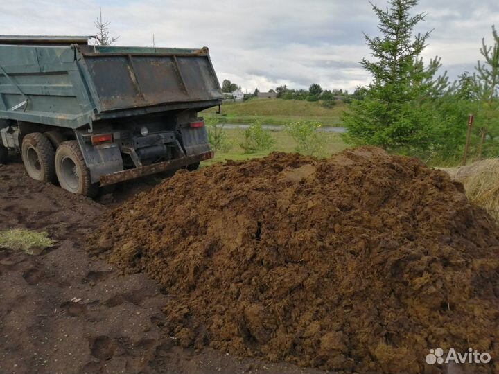 Навоз Коровий