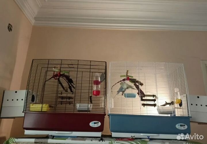 Удобные гнездовые домики для попугайчиков