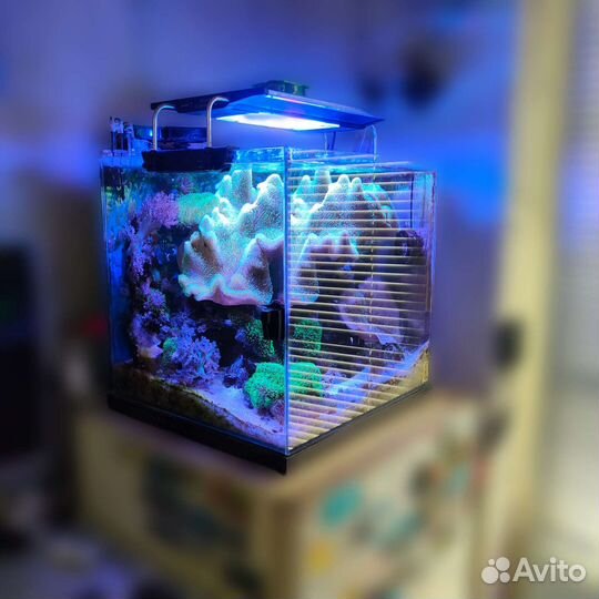 Морской аквариум 100 литров