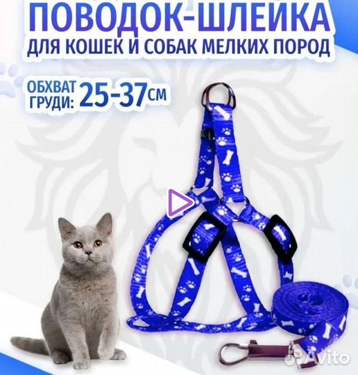 Поводок-шлейка для кошек и мелких пород собак
