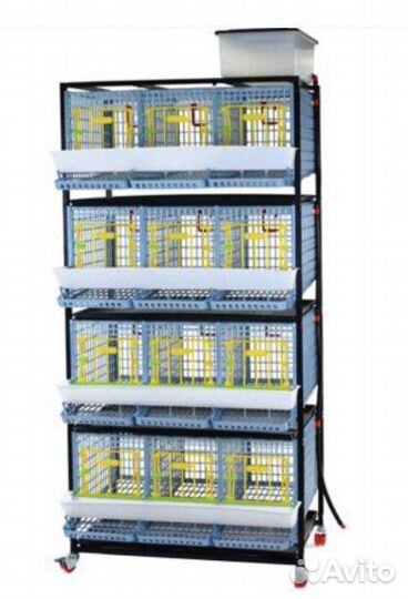 Клетки для кур несушек