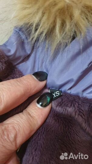 Комбинезон для собаки