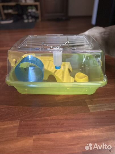 Клетка дюна