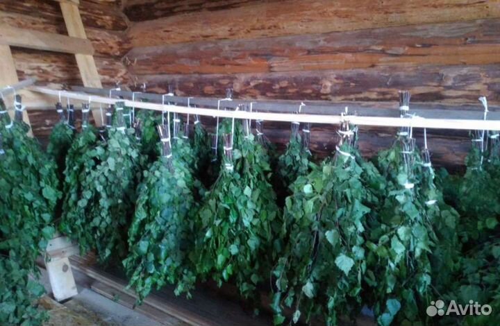 Продам веники для бани