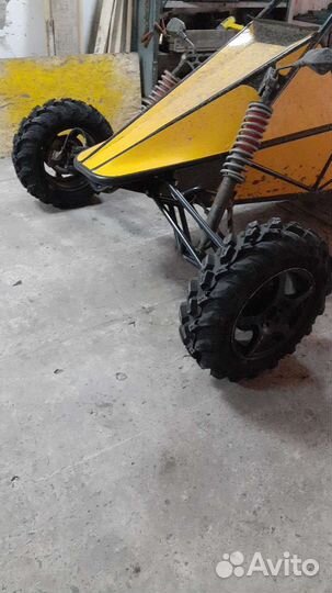 Баги баракуда