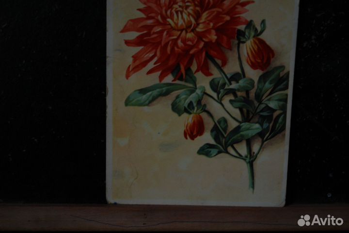 Старые открытки 2 шт