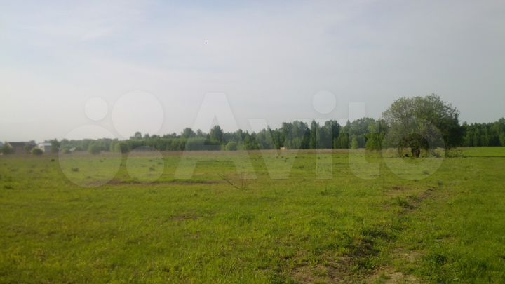 Участок 10 сот. (ИЖС)