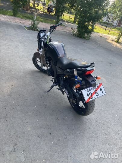 Райсер нитро 250