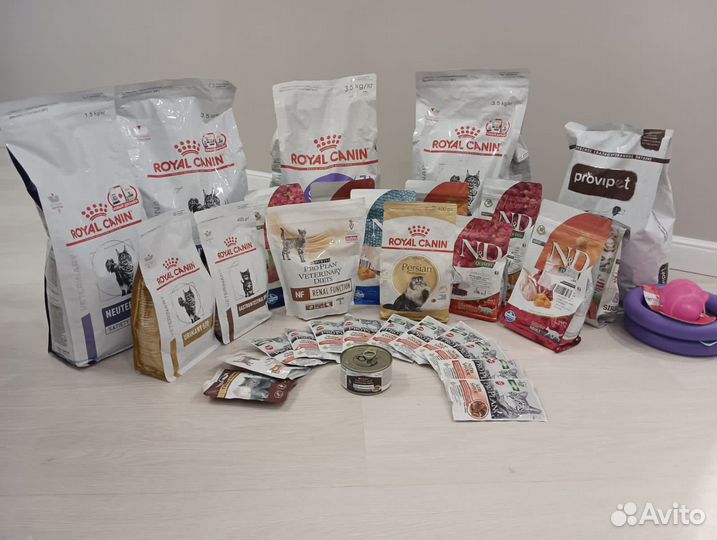 Корм для кошек роял канин