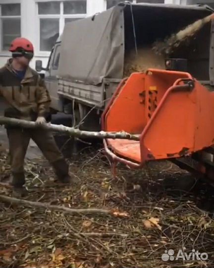 Аренда измельчителя веток