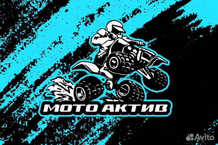 Мопед promax alpha tourist 150(49)