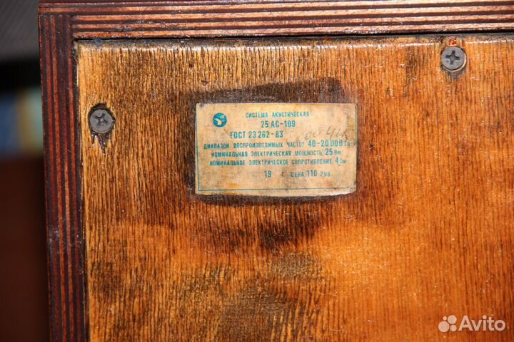 Колонки Вега 25ас 109