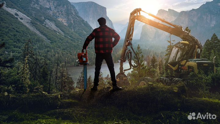 Lumberjack's Dynasty