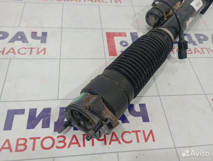 Амортизатор задний Mercedes-Benz GL (X166) 1663200930