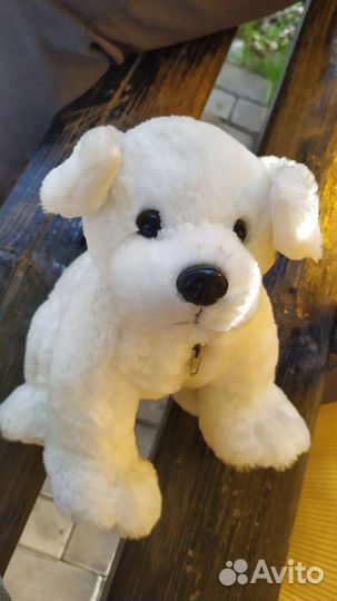 Кролик и собака